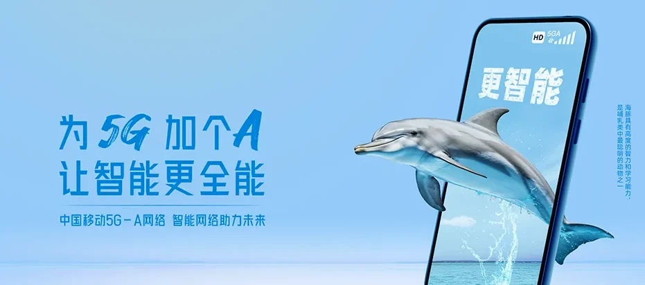 泗洪县泗洪县龙集镇 移动宽带